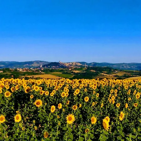 Il Focolare Апартаменты Тоди