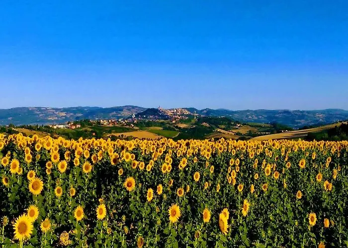 Lejlighed Il Focolare